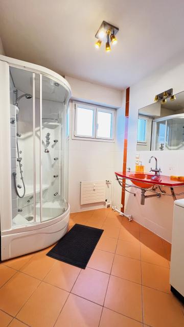 Location appartement T3 Ferney Voltaire - Photo 4