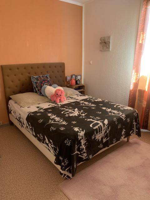 Location chambre Ollioules - Photo 2
