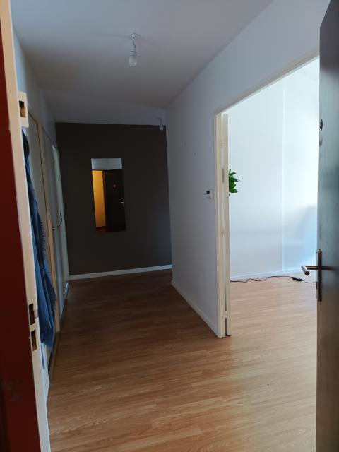 Location appartement T3 Lyon 3 - Photo 2