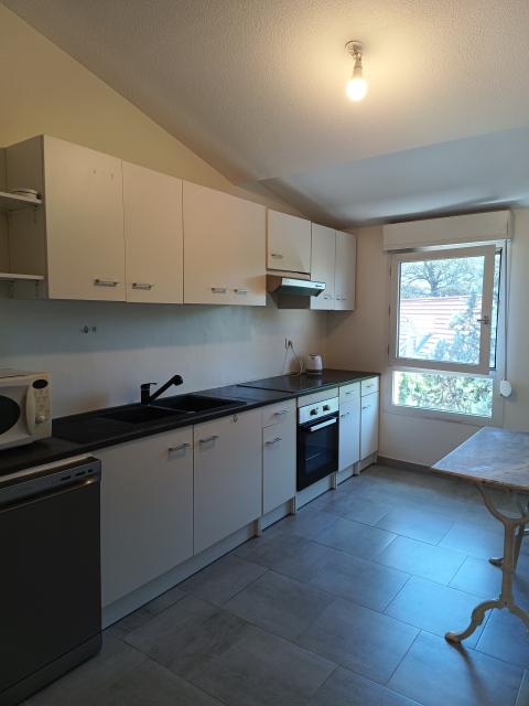 Location appartement T3 Lyon 3 - Photo 3
