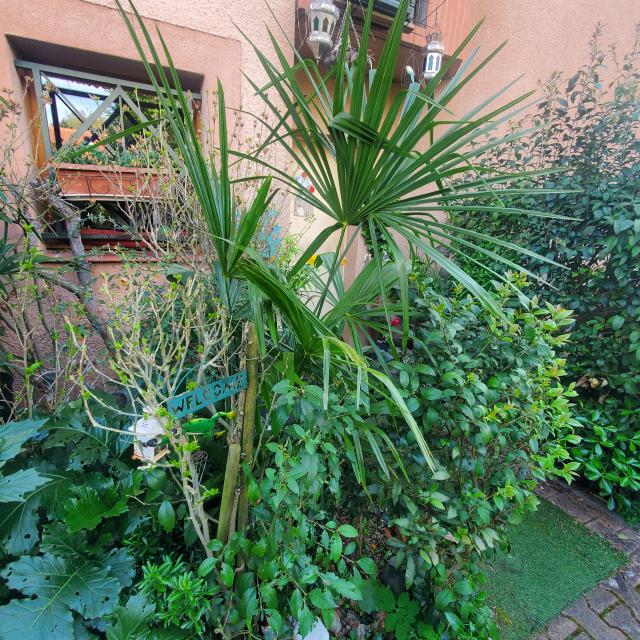 Location chambre Toulouse - Photo 7