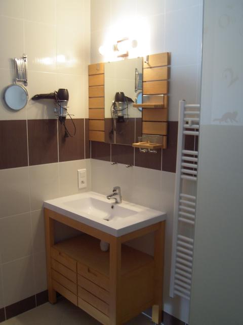 Location appartement T3 Reignier - Photo 5