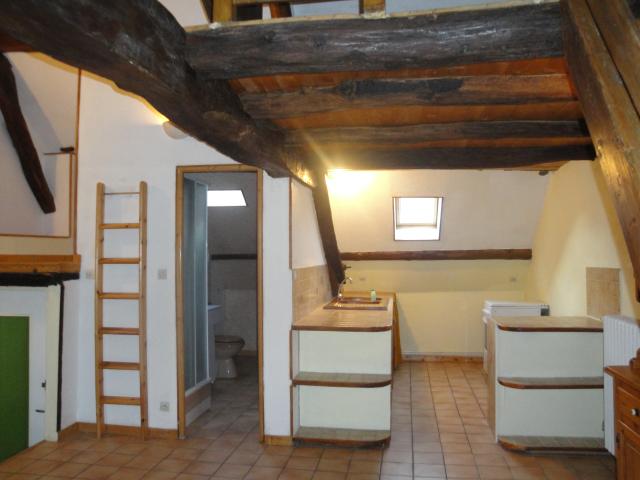 Location appartement T2 Chenove - Photo 5