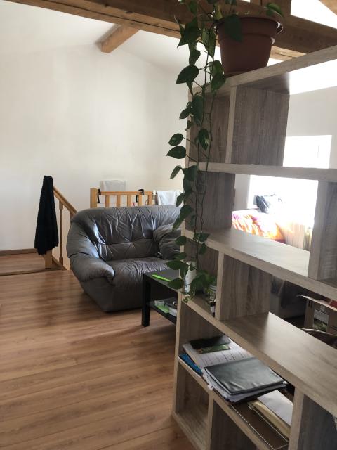 Location appartement T3 Condrieu - Photo 8