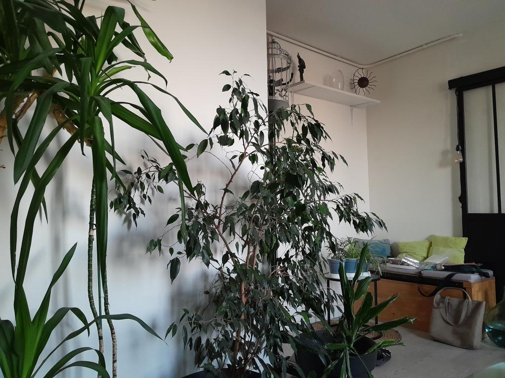 Location chambre Montreuil - Photo 1