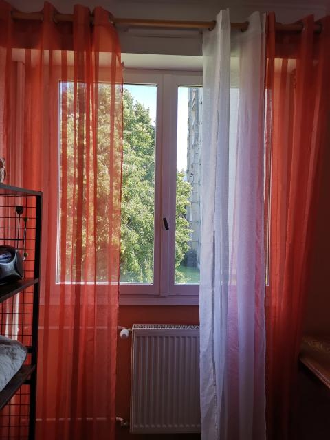 Location chambre Cognin - Photo 6