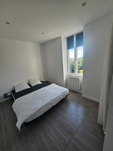 Location appartement T2 La Ricamarie - Photo 4