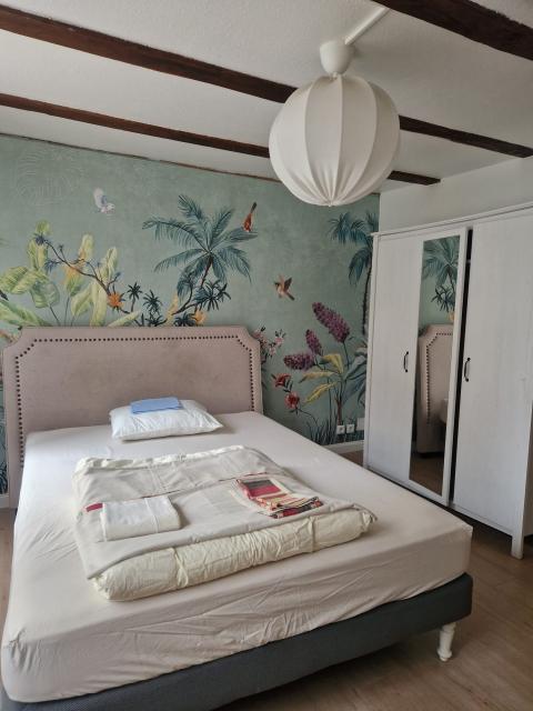 Location appartement T3 Strasbourg - Photo 4