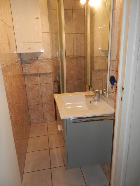 Location appartement T3 Grenoble - Photo 7