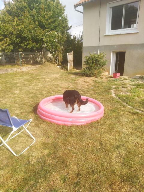 Location maison F3 Jardres - Photo 4