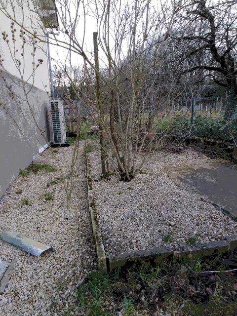 Location maison F3 Jardres - Photo 5