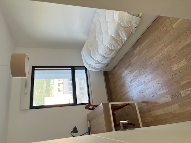 Location appartement T3 Annecy - Photo 2