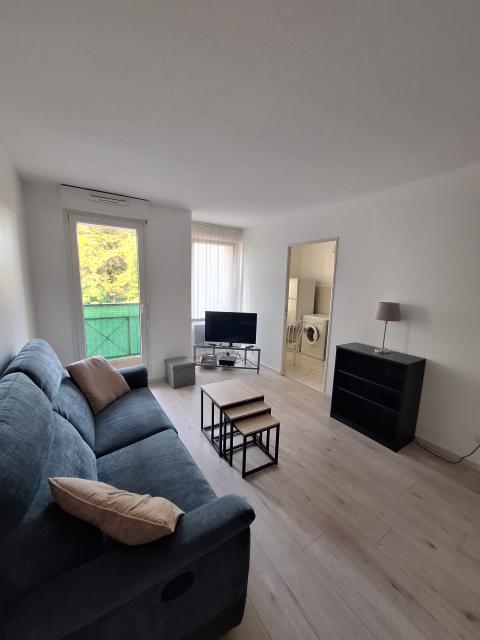 Location appartement T2 Illkirch Graffenstaden - Photo 2