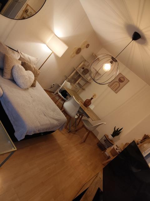 Location appartement T2 Dijon - Photo 3