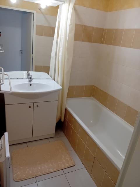 Location appartement T2 Guilherand Granges - Photo 7