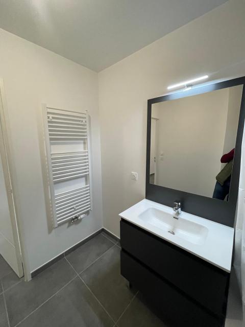 Location appartement T3 Lyon 8 - Photo 6