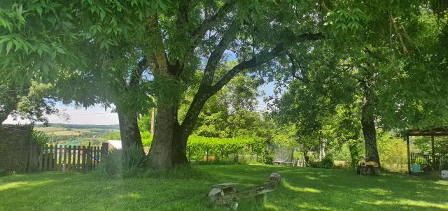 Location maison F4 Montfermier - Photo 9