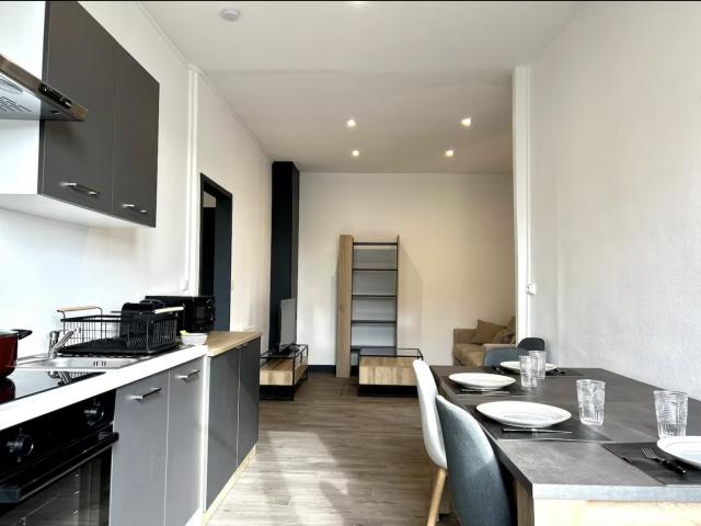 Location appartement T3 Caluire et Cuire - Photo 2