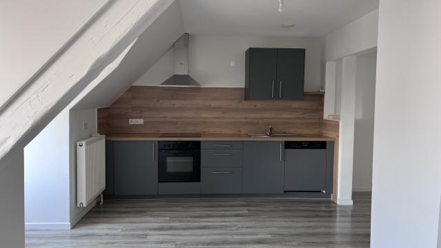 Location appartement T3 Rohrbach les Bitche - Photo 5