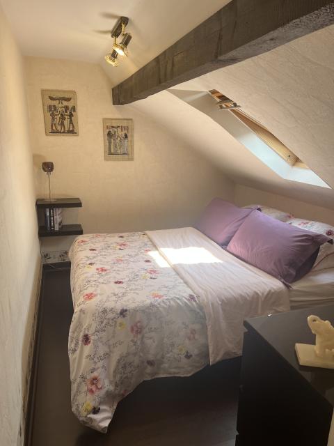 Location chambre Colmar - Photo 3