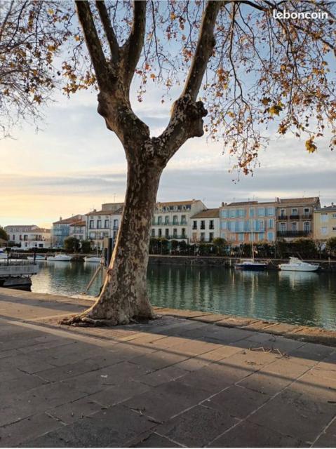Location studio Agde - Photo 9