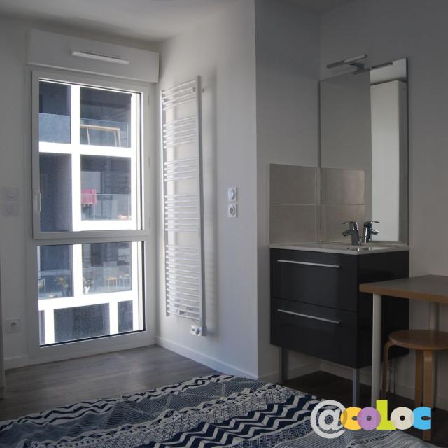 Location appartement T5 Nantes - Photo 3
