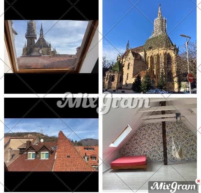 Location appartement T3 Thann - Photo 7