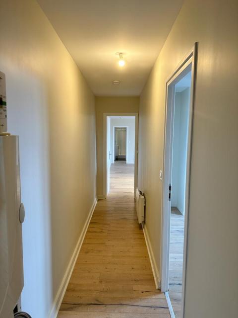 Location appartement T3 Lille - Photo 2