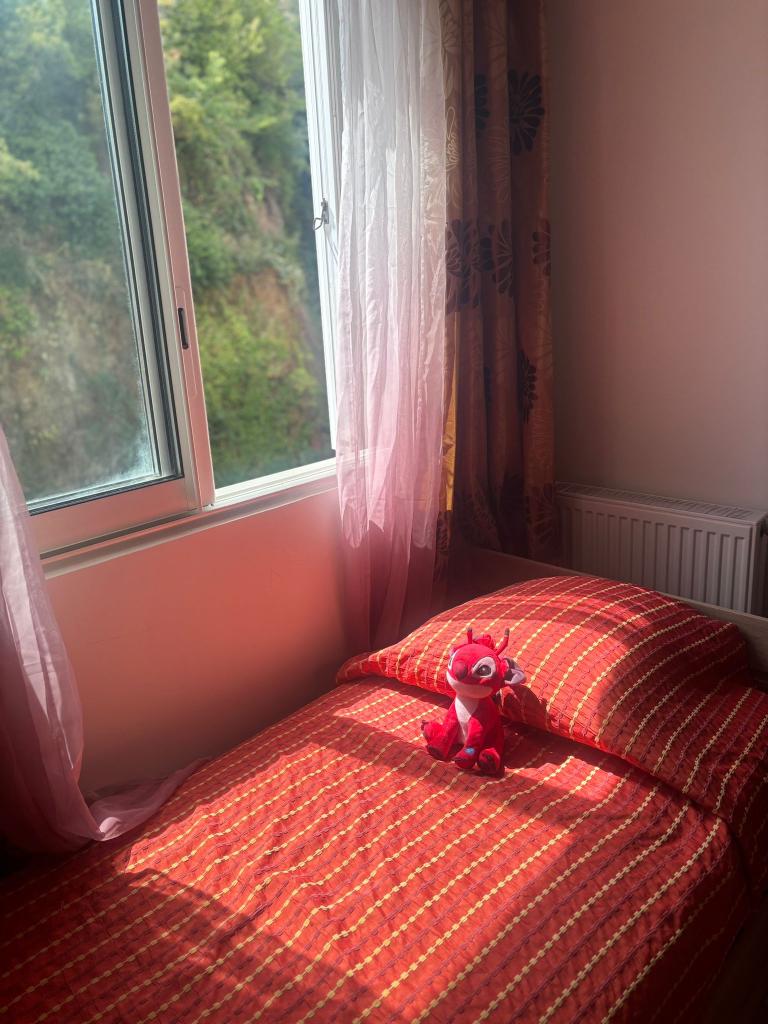 Location chambre Nice - Photo 3