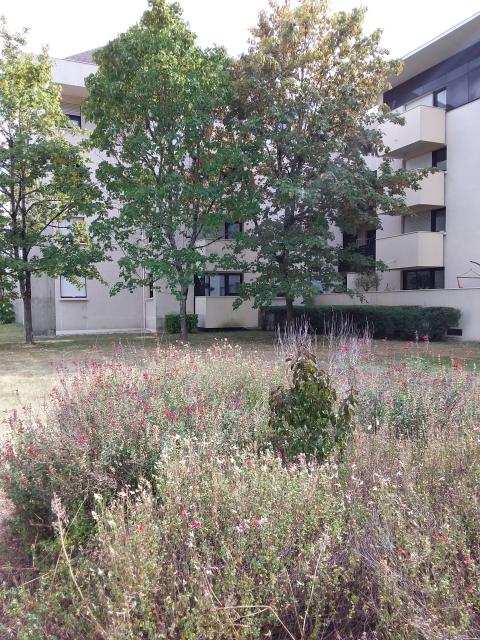 Location appartement T2 Talence - Photo 10