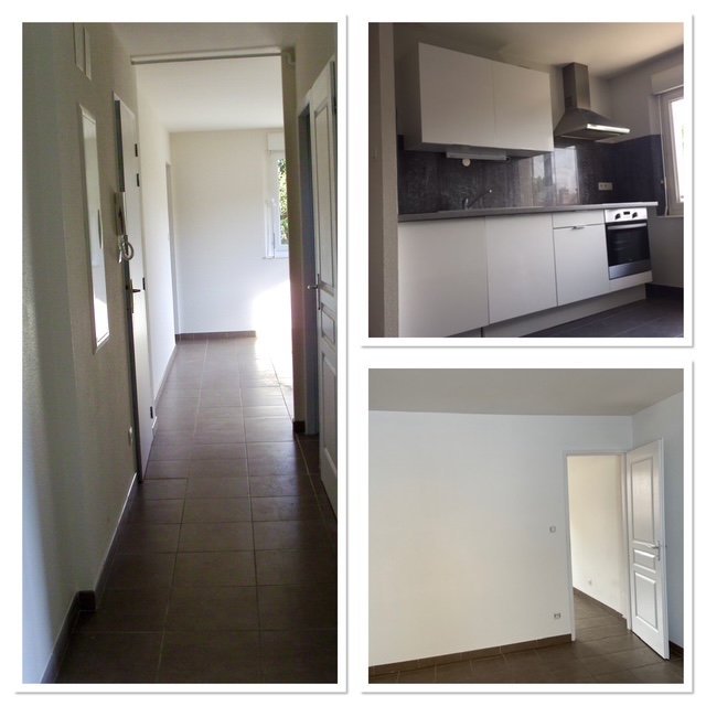 Location appartement T3 Bavilliers - Photo 5
