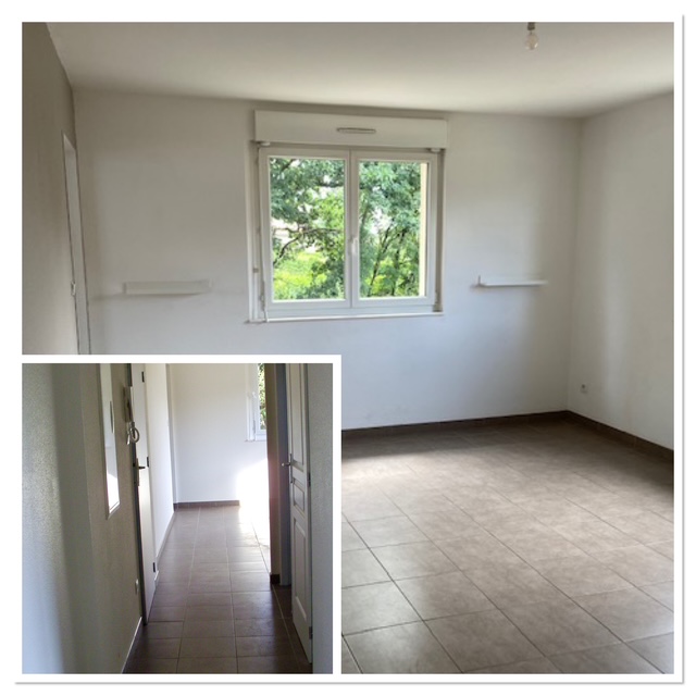 Location appartement T3 Bavilliers - Photo 6