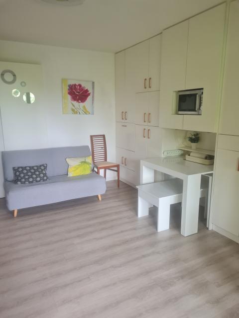 Location appartement T3 Annecy le Vieux - Photo 3