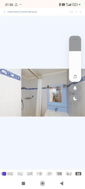 Location appartement T3 Grenoble - Photo 3