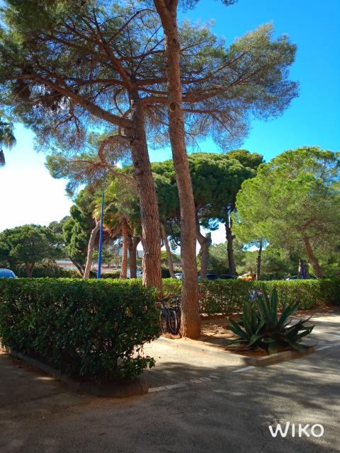 Location studio Hyeres - Photo 4