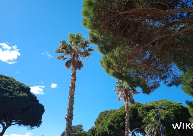 Location studio Hyeres - Photo 9