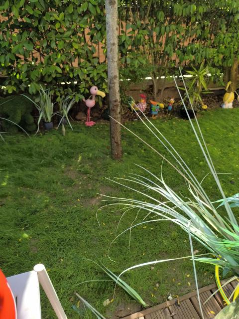 Location appartement T4 Dammarie les Lys - Photo 8