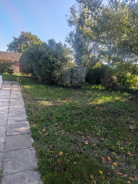 Location chambre Fonsorbes - Photo 6