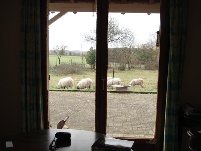 Location chambre Boves - Photo 3