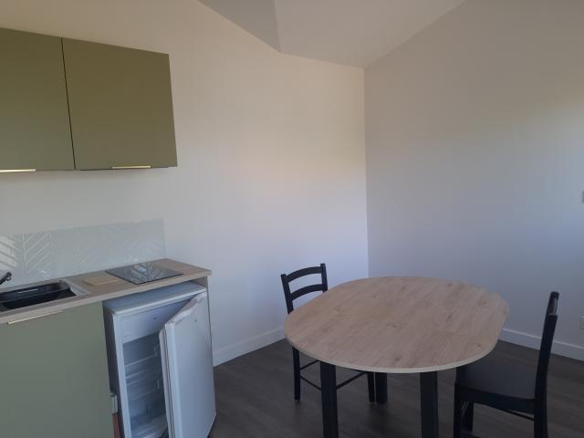 Location appartement T2 St Sebastien sur Loire - Photo 2