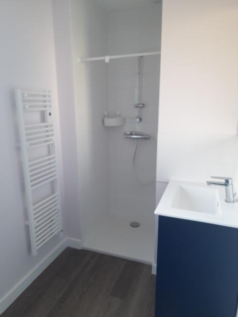 Location appartement T2 St Sebastien sur Loire - Photo 5