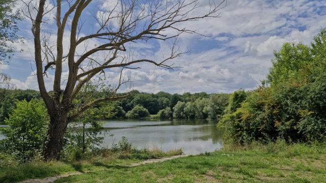 Location appartement T3 Savigny le Temple - Photo 5