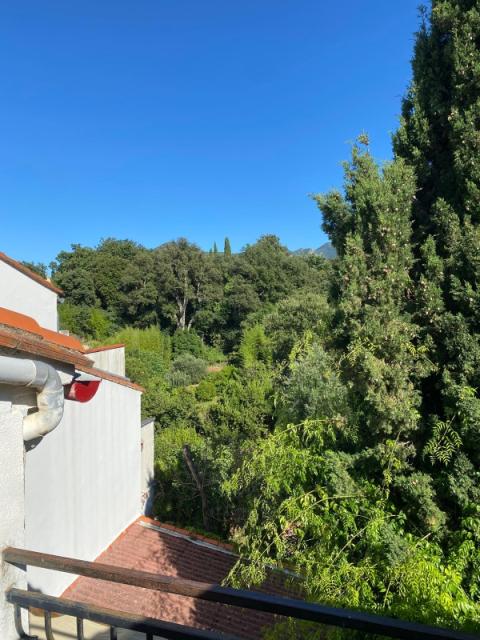 Location appartement T3 Laroque des Alberes - Photo 3