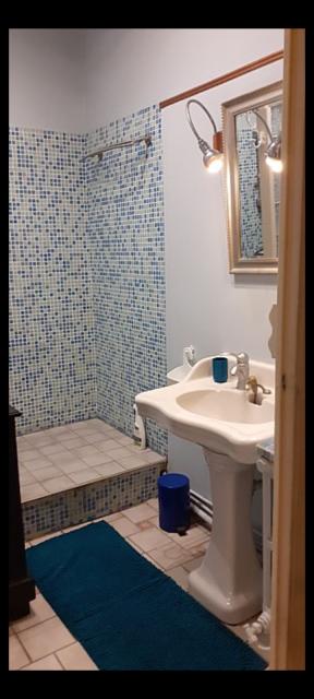 Location appartement T3 Grenoble - Photo 4