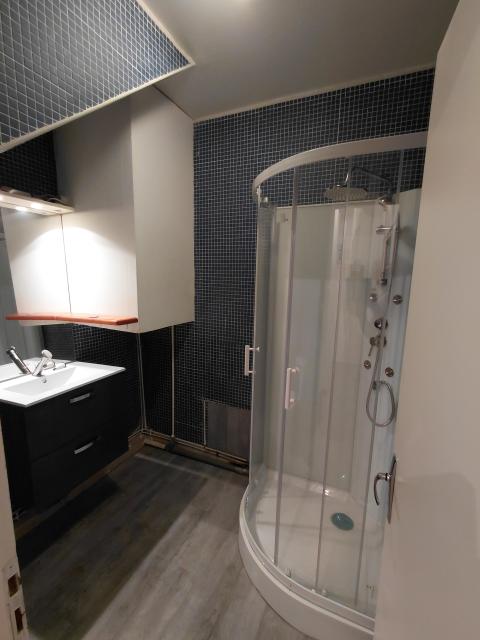 Location appartement T2 St Etienne - Photo 4