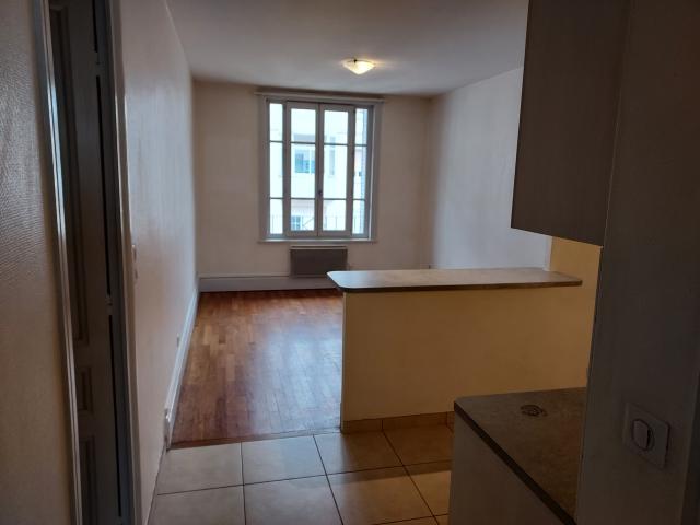 Location appartement T2 Lyon 3 - Photo 2