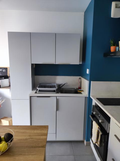 Location appartement T2 Lyon 7 - Photo 3