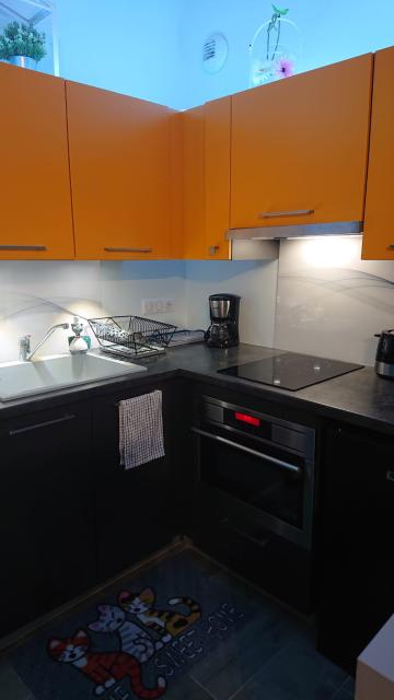Location appartement T2 Mazamet - Photo 3