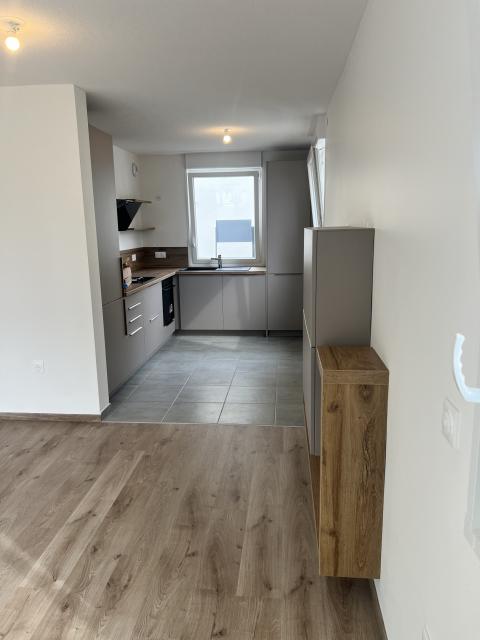 Location appartement T4 Haguenau - Photo 7