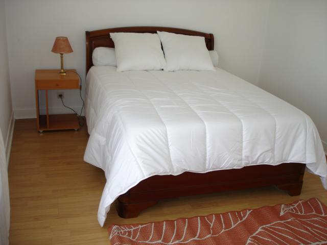 Location appartement T2 Toulouse - Photo 3